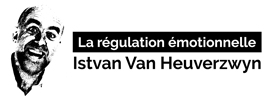 Formation Regulation émotionnelle Logo
